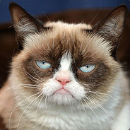 หมาน้อยอัศ