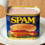 Spam