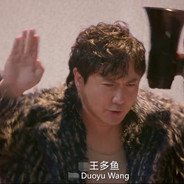安徽王多鱼