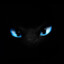 night fury