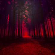 ιllιlι І ♥ ʍυﮎι© .ι