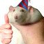 Russel_Jr