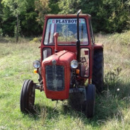 traktor peek - steam id 76561199465566496