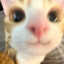 Google Lens