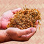 TaBaCo