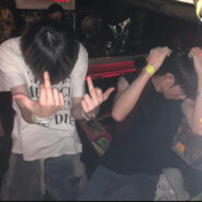 音经厚乳菜蝇文