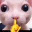 Elliottow[NooB]