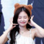 Jennie ❤ ʕ´•ᴥ•`ʔσ”