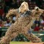 9th inning wookie