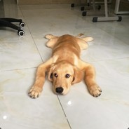 我怕你把握不住