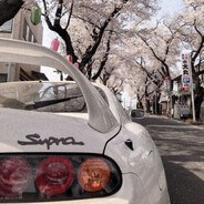 usam73 - steam id 76561198985805285