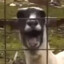 TheGoat
