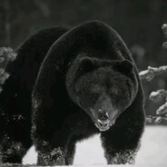 <GRIZZ~LY>