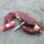 TheCrab