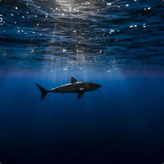 Ocean-Sky 星辰大海