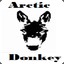 ArcticDonkey