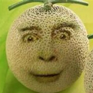 阿波罗爆脑计划