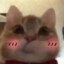 伟der
