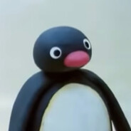 pdk1337 avatar