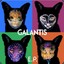 Galantis