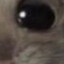 kzjtq