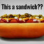 †HQC† HotDog Is A Sandwich