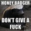 honey badger