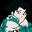 coelaclover