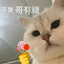复婚好吗孩子总哭