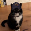 Paraahh the McCat