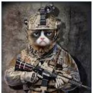 Cpl. Whiskers