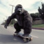 Longboard Gorilla