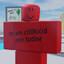 c00lkid