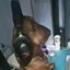 mikeonthemic