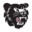 The Bear