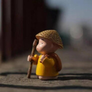 从不放弃希望的鹏鹏