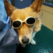 blarg - steam id 76561197960776098