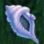 MagicConch