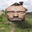 Dr. House