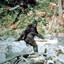 Bigfoot