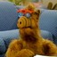 Alf