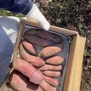 其实我是大傻逼