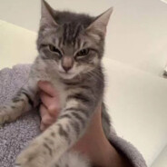 哪有什么倒转的钟