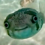 bananowyswirek - steam id 76561199827234178