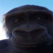 hulumiula - steam id 76561198929182928