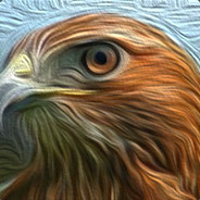 Hawkward