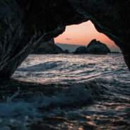 春风弱有怜花意可否许我在少年