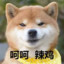 张狗der