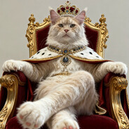 ✠*✯ TARO Ɑ͞ ̶͞ ̶͞ ﻝﻝ ✯