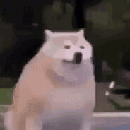 bearrr